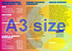 A3 Size